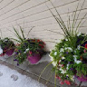 Meet your Posher, Gail